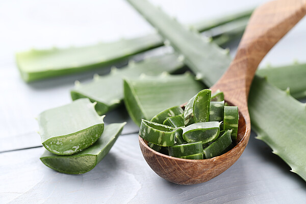 aloe, aloevera, aloe vera, background, body care, botany, cactus, care, close-up, cure, green, heal, health, herb, herbal, liquid, lotion, medical, medicine, natural, nature, nobody, plant, leaf, pure, skincare, slices, sliced, succulent, thorn, vera, water, wet, white, cosmetic, treatment, ingredient, beauty, dermatology, gel, wooden, spoon