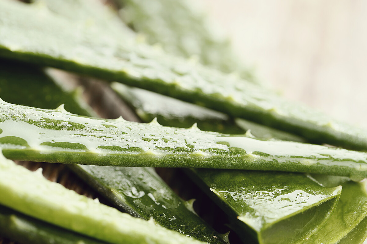 jean len aloe vera gel Badger Aloe Vera Gel main image 0